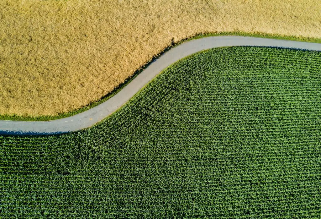  Business Ownership at a Crossroads: Key Questions for Planning What’s Next Featured Image