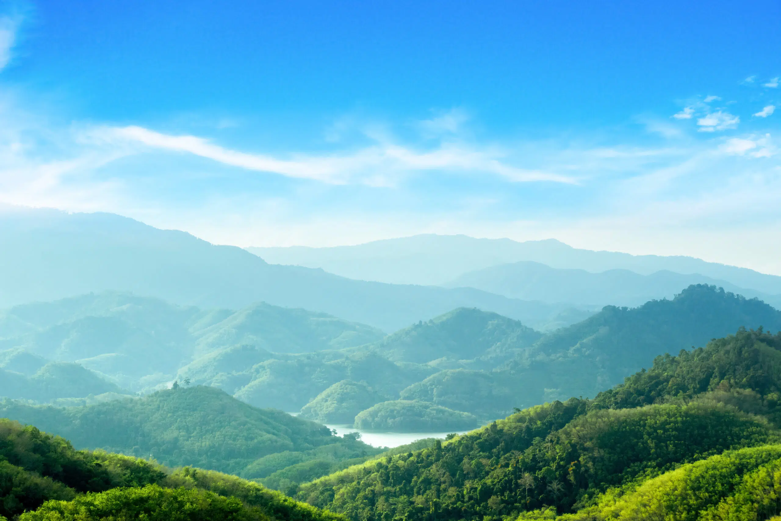 Sustainable Investing in Focus: Green Horizons or Gridlocked
