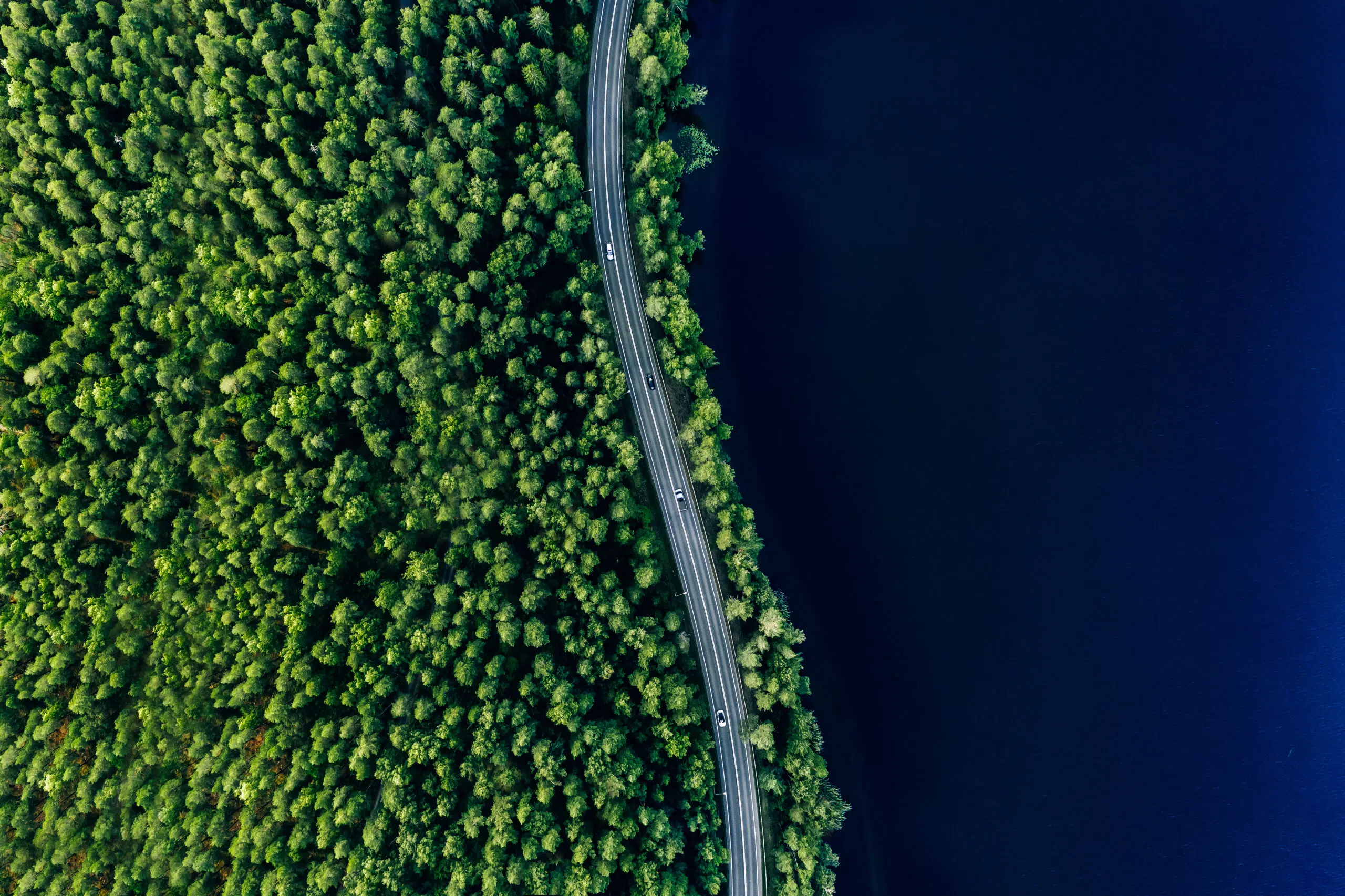 Investor’s Guide to Impact Wealth Management