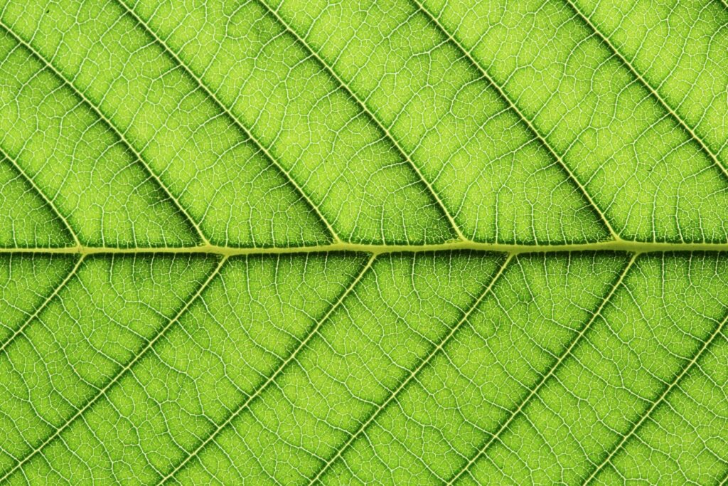  Implementing a Sustainable and Impact Investing Strategy – A Family Perspective Featured Image