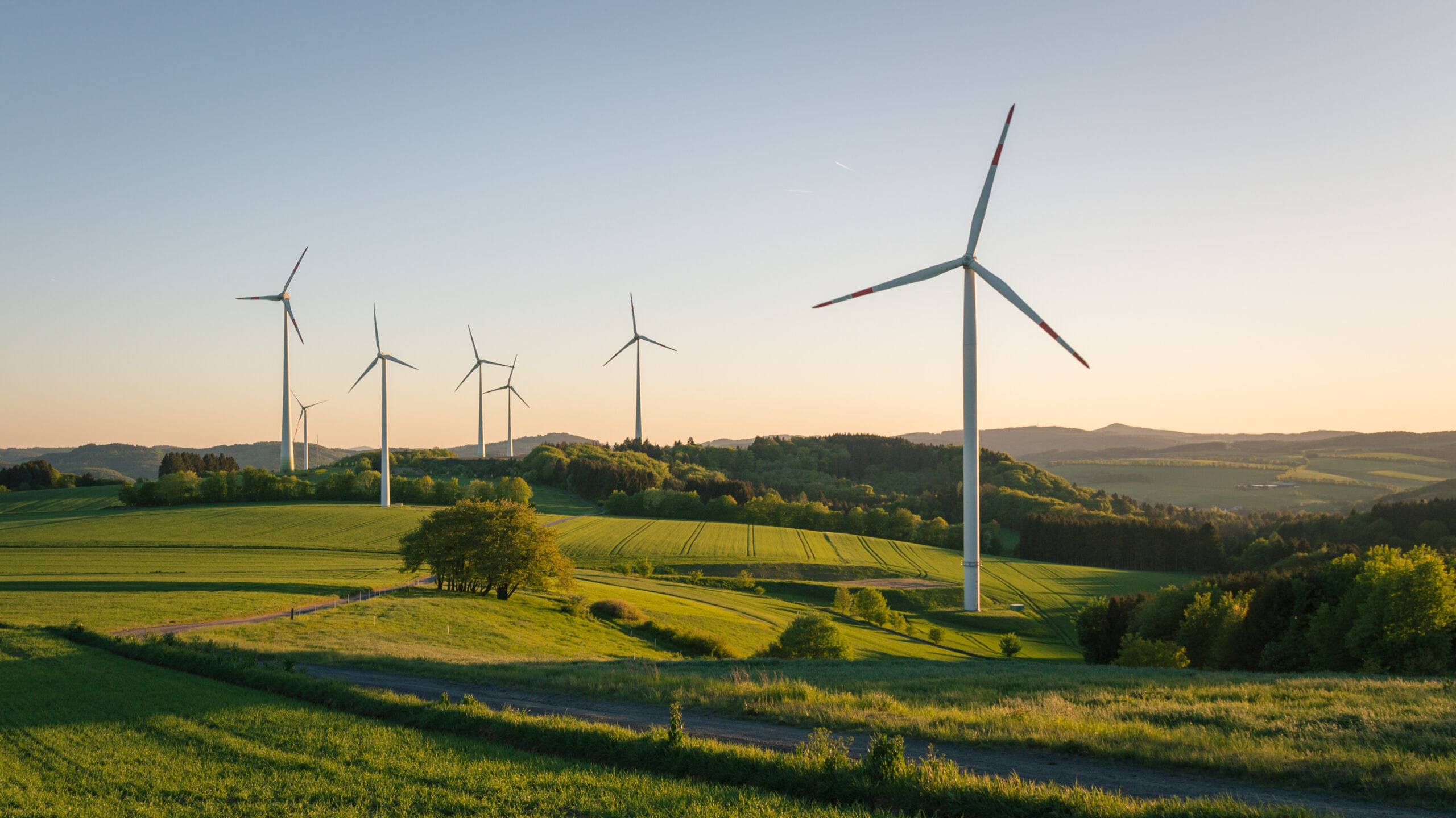 The Green Agenda: MoneyMaze Allocator Summit 2025