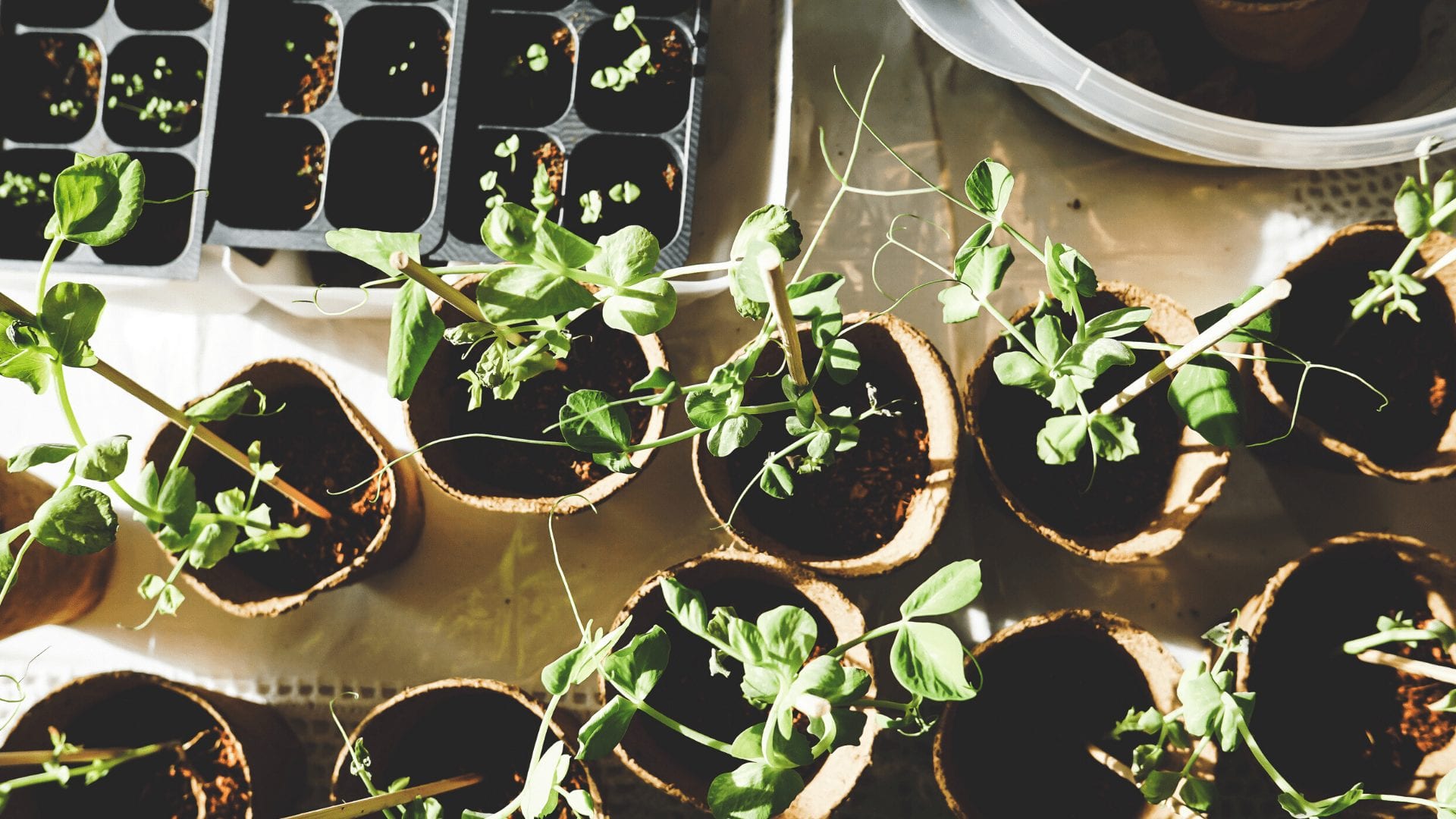 Balancing the Financial Equation: Your Closest Supporters Have Never Been More Important