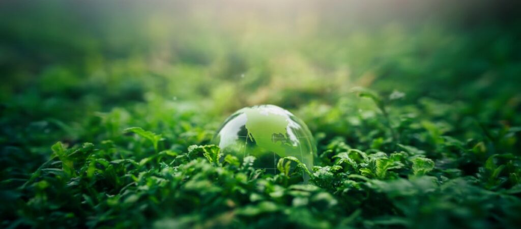  Simplifying Net Zero Implementation: Possible Pathways to a Portfolio That Can Be Good for the Climate Featured Image