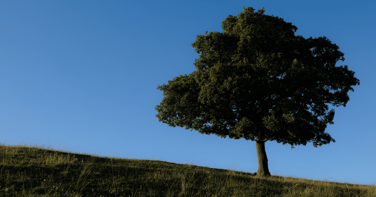 VantagePoint: Can Value Outperformance Endure?